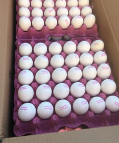 Table Eggs