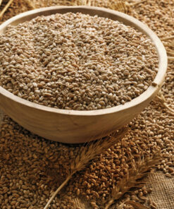 Wheat Bran
