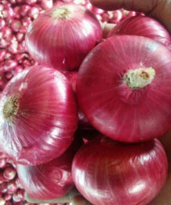 Onions
