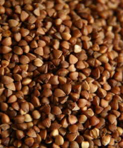 Buckwheat