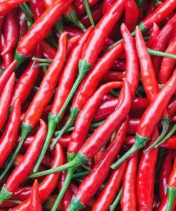Chilli Pepper