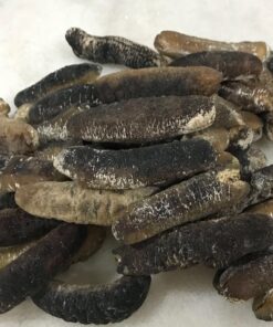 Dried Sea Cucumber