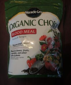 Blood Meal