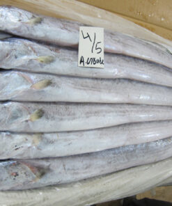 Frozen ribbon fish
