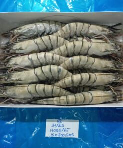 Frozen Shrimps