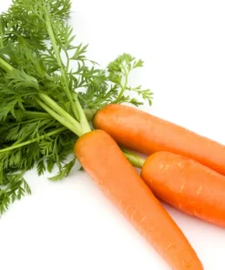 Carrots
