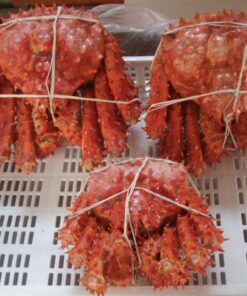 Fresh Crabs
