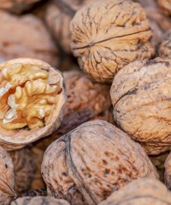 Walnut
