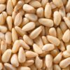 Pine nut.